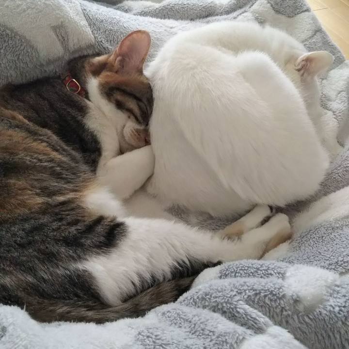 1b05c60f 6e57 4cfb 9d98 40d9b3310630 1643953723777