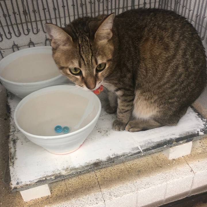 1b064003 f2bc 4e42 bccc 88112823e613 1640077845038