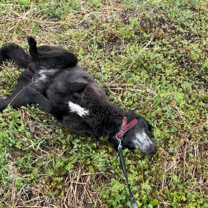 1b0645a4 b221 45ff a7ed 2795d7b133ae 1647932488348