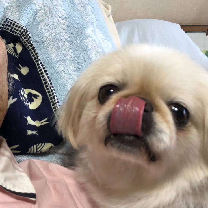 1b06a1fd 08a7 4b5d 88b4 485c0800db29 1563400682282