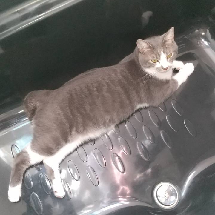 1b06aaf5 46cd 456f 8111 29415bcd97e9 1598014342444