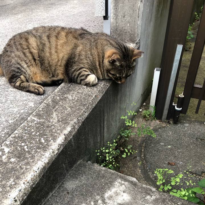 1b06af80 7ab5 4e02 8998 6383af3d756f 1562751279190