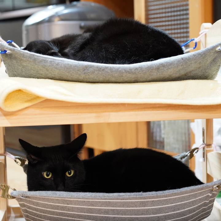 1b06bdd9 f6c9 4379 8488 607f1515acda 1573084817792