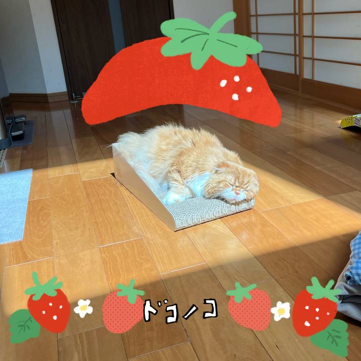 1b06d9d1 7b69 4e2c a066 f3f82f5c0ee8 1775870544726