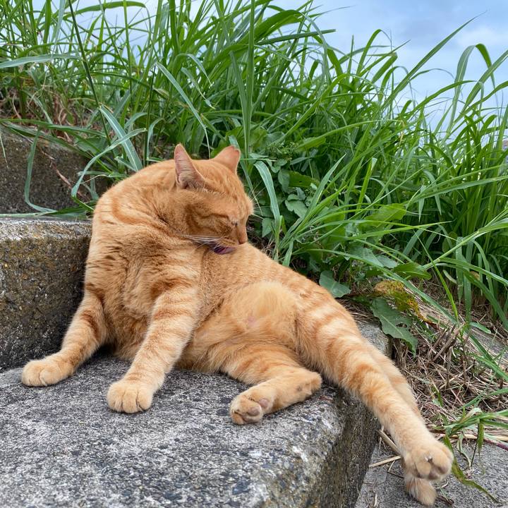 1b06dccb 6b37 419f 86f9 c39a0e45d43a 1633059193107