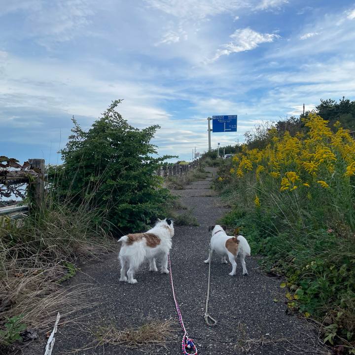 1b07050e a69a 40b6 8c96 95355e6e751b 1729308339317