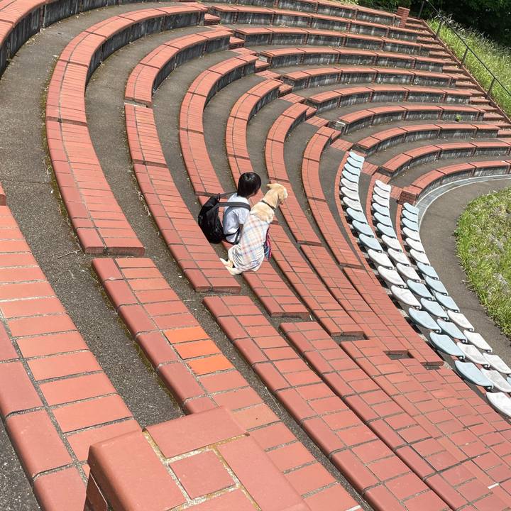 1b072595 48c7 4628 82d2 e917f3139cf4 1621250303676