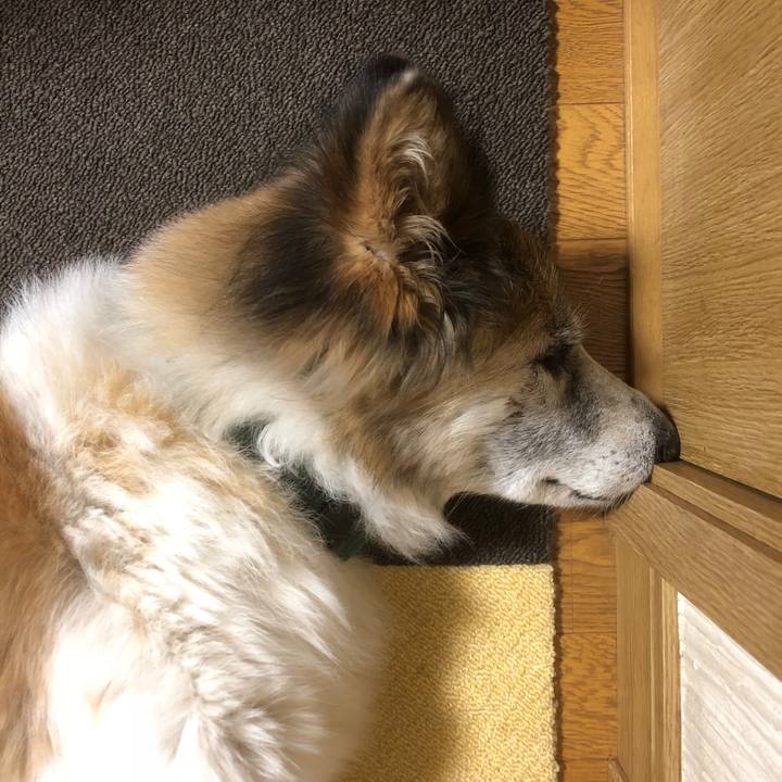 1b077638 f5e1 42e1 a95a 84ebc629c3e6 1539759004469