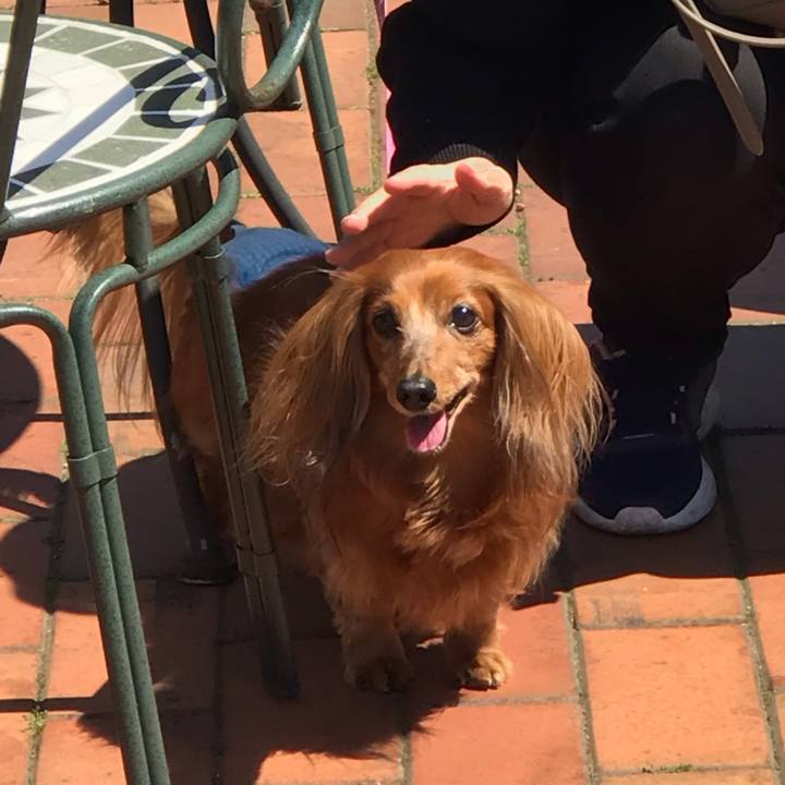 1b07ccaa 3e6c 4235 8e93 ea88a4bb4018 1586905213600