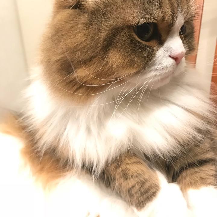 1b07cd33 355b 4c28 917e e3bccab34142 1511348944461