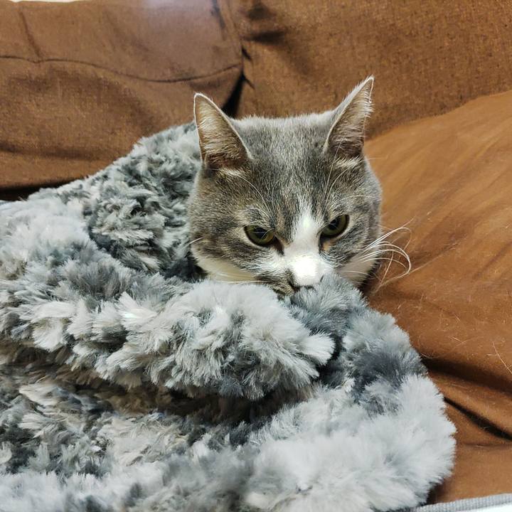 1b07e9e5 de45 443e 9a9f 85cb3f89e013 1671693365854