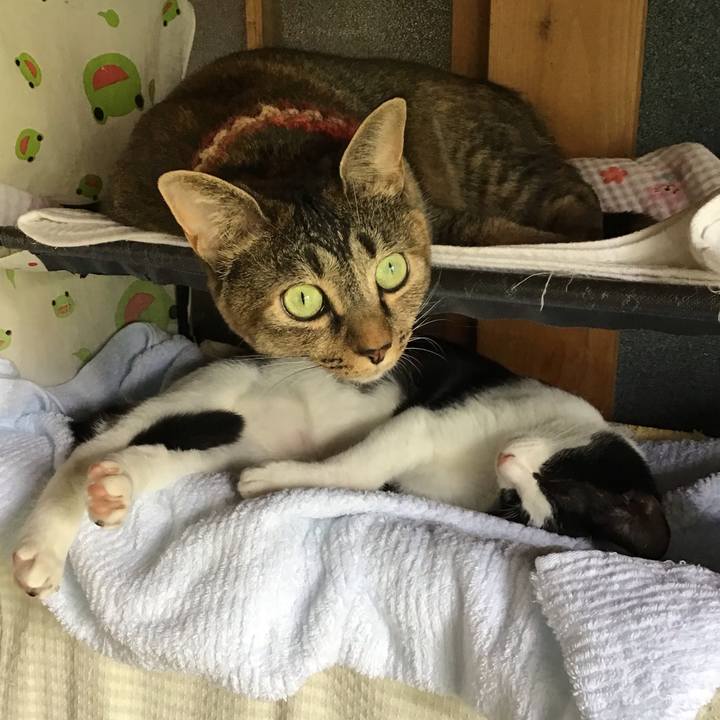 1b080827 3d43 445b 9af7 261a23fd93f6 1630994426047