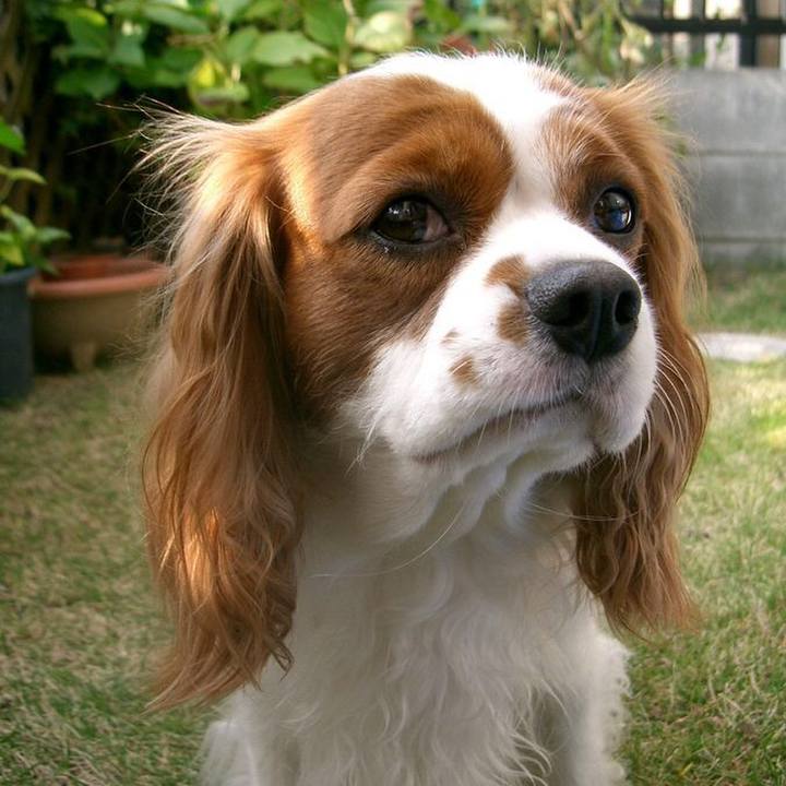 1b081d7f bc20 4140 89ae 549bdbc7e574 1510665005481