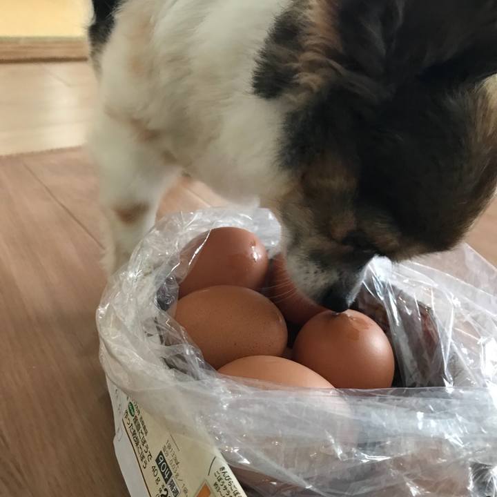 1b083bc5 e066 4fbf 92a9 d0b1814b2bbd 1534384286062