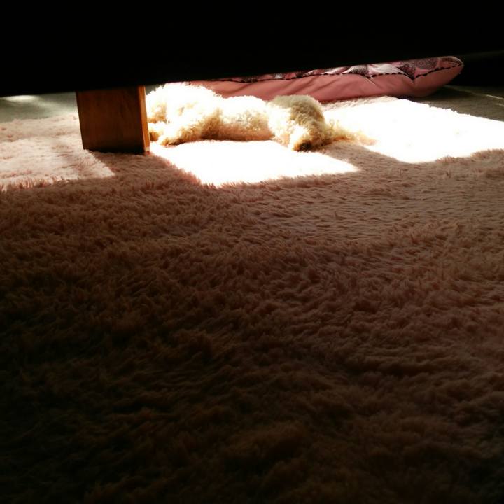 1b086948 5de9 4b6a bef2 99cc65a9e522 1538795308836