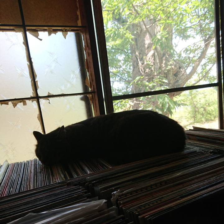 1b088ab4 1dec 48a8 9da6 10d7c0148e75 1657420347910