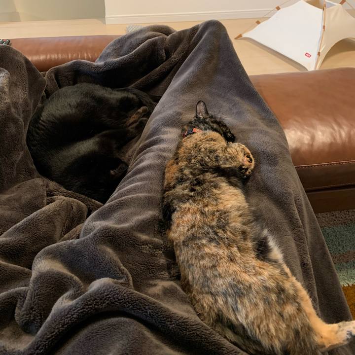 1b08c1f6 c16e 4d69 87b2 b0ec0c18401c 1580024277153