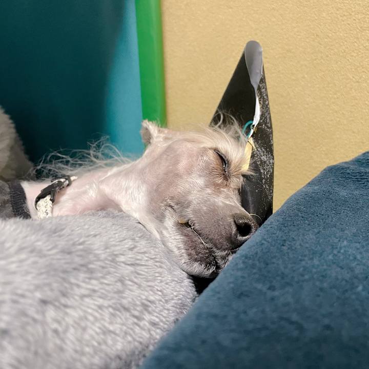 1b08d04f eb77 41af a39a 2a9f63dc4068 1773565815926