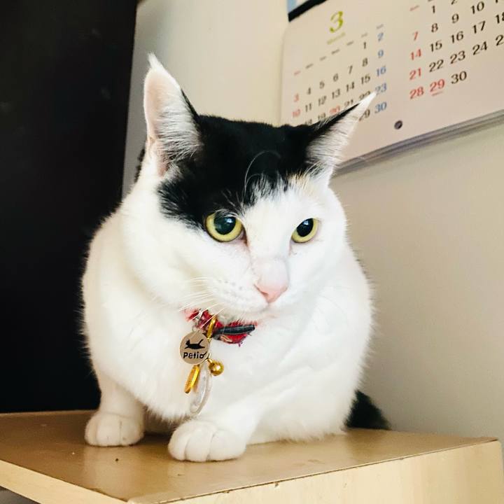 1b08d2ef 7875 493d 88ed 7667c12e2eef 1712960795993