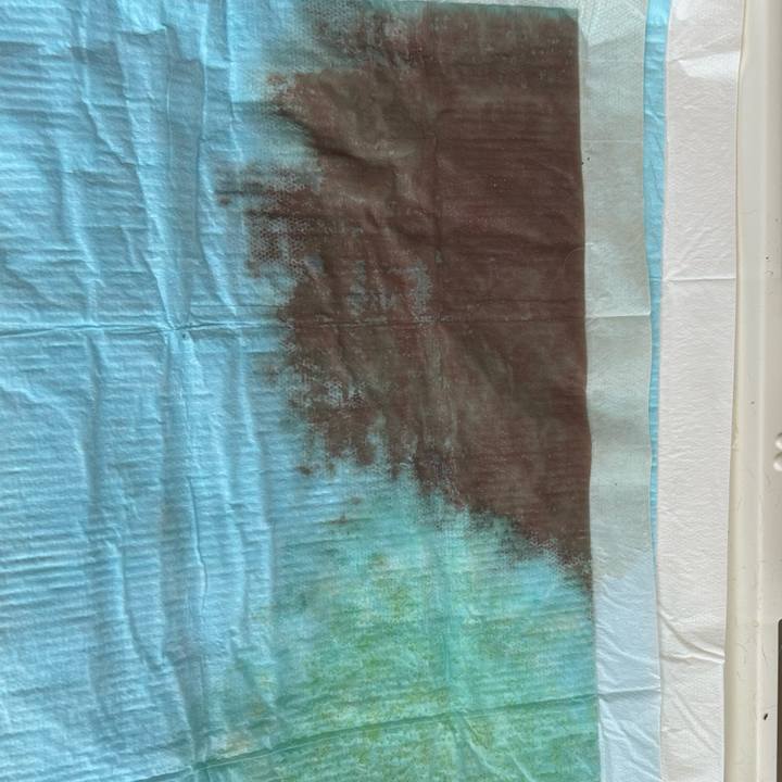 1b08d9e5 d3f7 42cd a065 f76e48ef3807 1693454286016