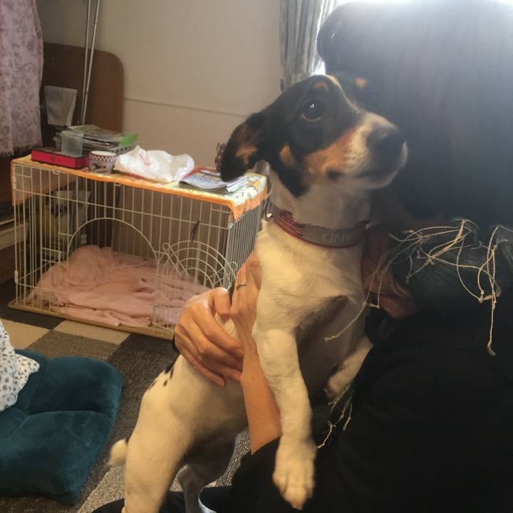 1b08e07a 53b1 47ad b2f8 99210b144e68 1576322084102