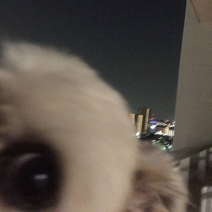 1b0902a5 2fa1 442b 9f9f 60e9542013f3 1533381221534