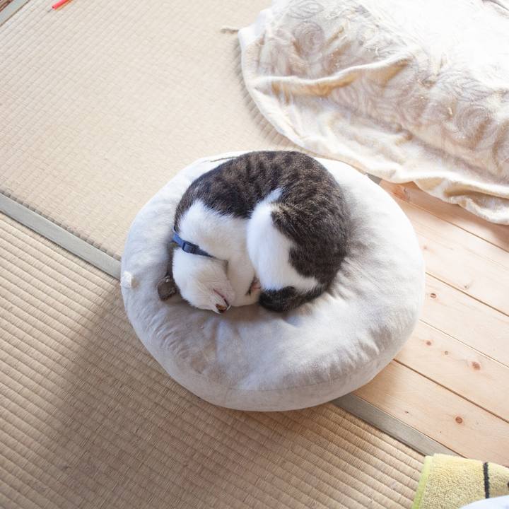 1b09542c 2d28 4f82 a269 67e35539d3a9 1570064090247