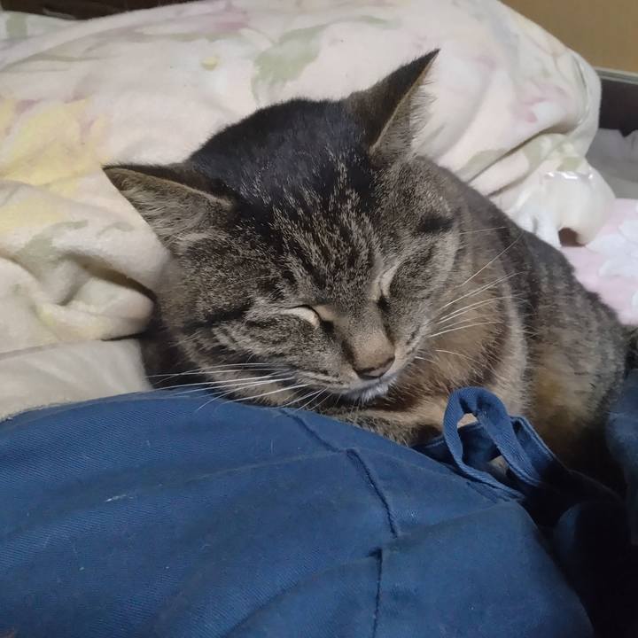 1b09c283 8232 4c94 8171 a37a84e79df9 1742819547157