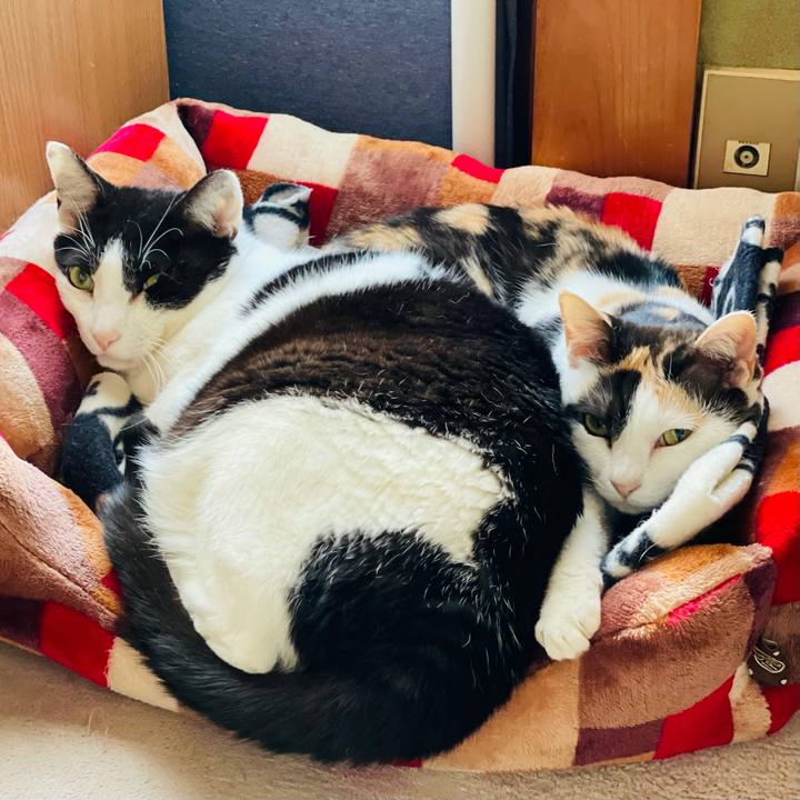 1b09cf76 6bc5 4adf a7ec bcae200e66bd 1619400523678