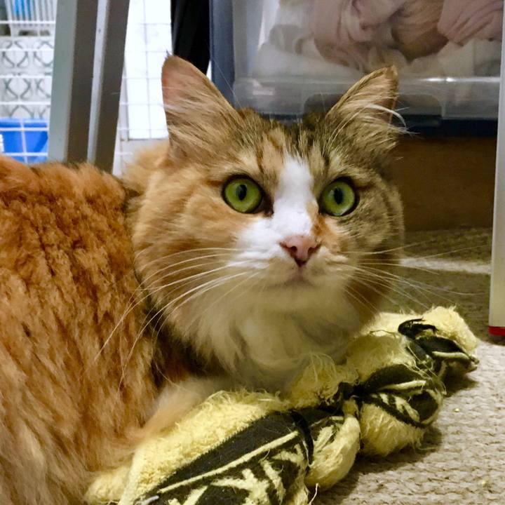 1b09de8a b483 4d66 a5c6 778c4d6c4558 1567220973941