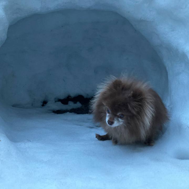 1b0a1112 c45a 443c 846a ba70adadd7bd 1678394247307