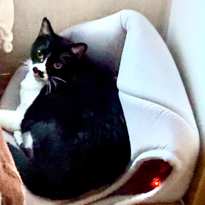 1b0a12f9 5e2b 46ec b95d 5a7d645359ae 1731974328639