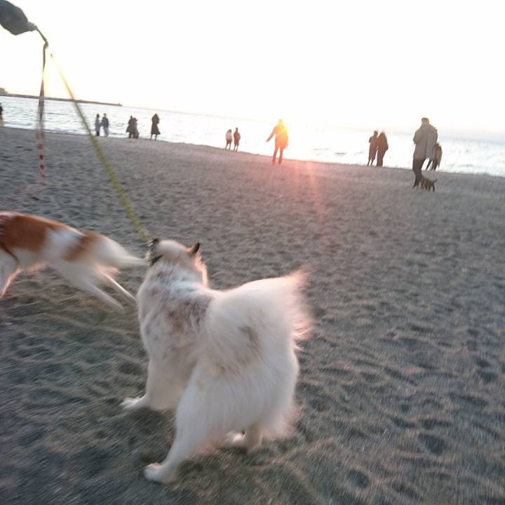 1b0a25f7 2b61 453b b5ca b841439e4f08 1580557182839