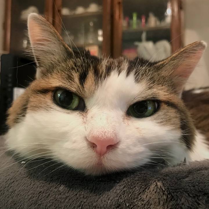 1b0a61d7 f85a 4bce 9165 26da17ce9b48 1614259117596