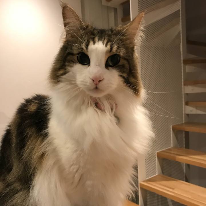 1b0a63eb 29d0 48fb a1e1 bd925d58836f 1525697193738