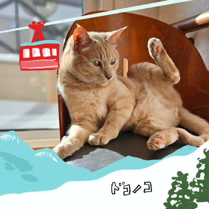 1b0a6429 796b 4262 b7b4 1942f8697240 1707018902127