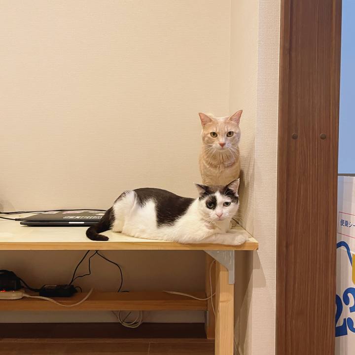 1b0a8460 57db 4e2e 8b91 1f0460d5d64e 1662215860634