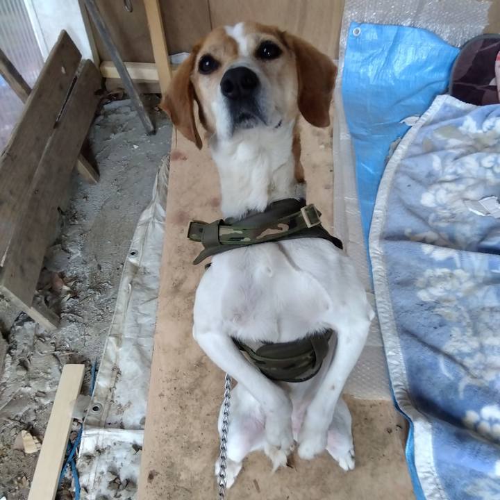 1b0ab031 965b 4d9b 9ff5 212e2bd6ef38 1680336853807