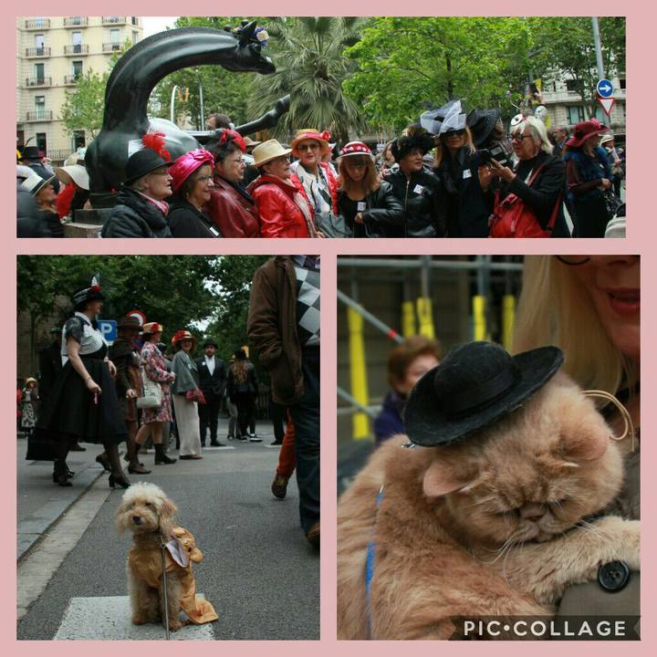 1b0afcc3 709f 4376 8735 a2f001a005d6 1556539590007