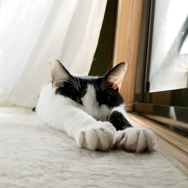 1b0b1d50 49f2 4638 a304 7479dfd1baa5 1536937139136