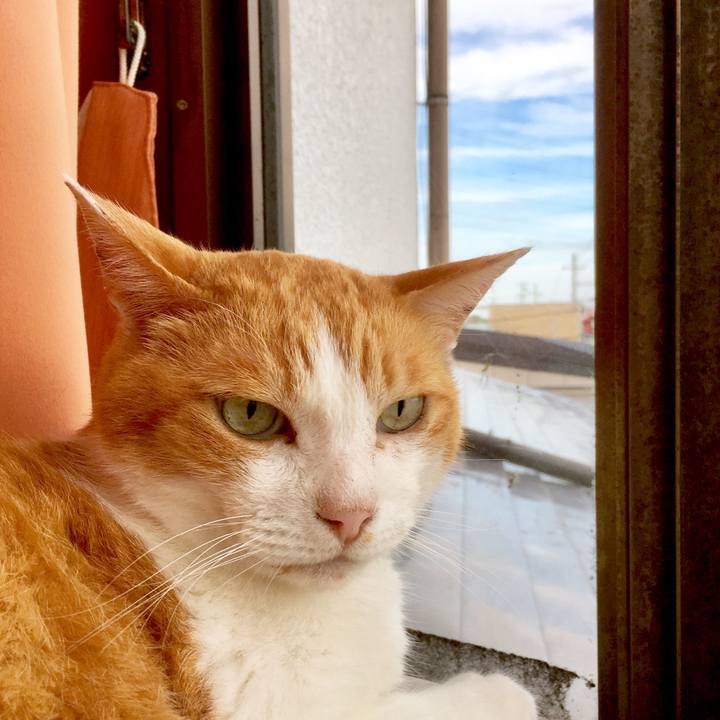 1b0b56d4 2f21 49e0 9ff4 ce8ff47c2ec4 1564216175879