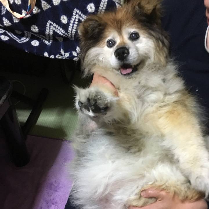 1b0bbd42 7846 4faa 890d 5a32c1a7cc36 1562843779374