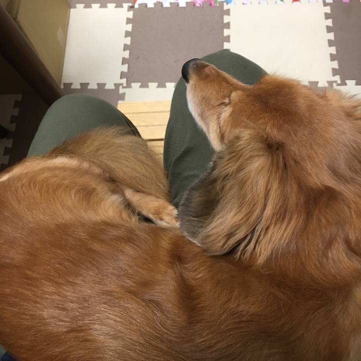 1b0bd103 6d22 4389 864d a15fd83eb4e1 1602160142711