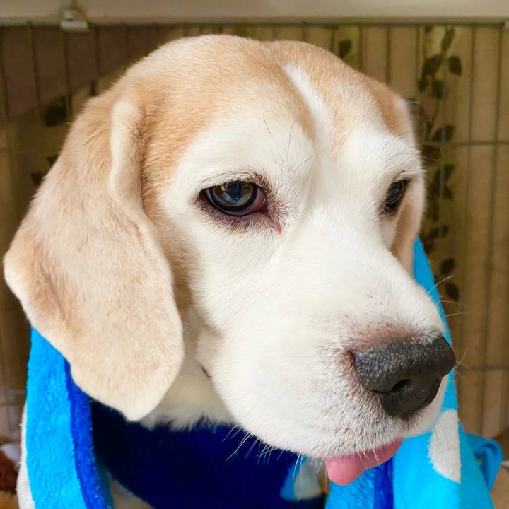 1b0bf563 3fec 4f70 a3df 2c92c6389489 1608350388494