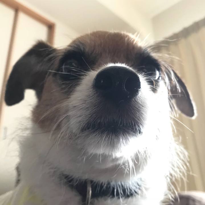 1b0c1d74 e5da 491f 82b4 f04cccb07e79 1530694469512