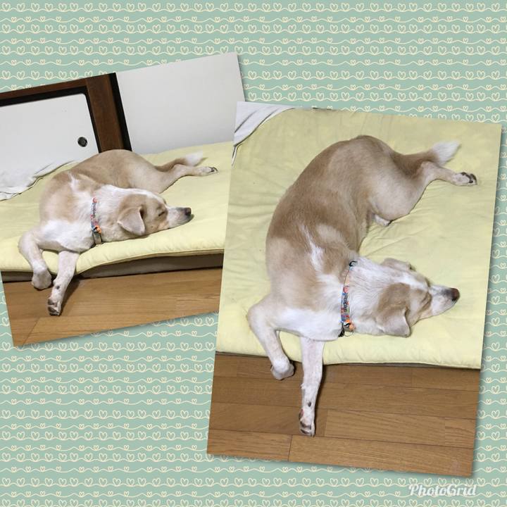 1b0c6102 e8da 473e b5cc c0dfecba1e9b 1539523017447