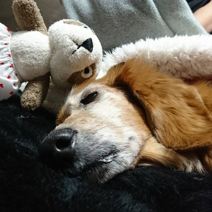 1b0c82b8 7514 4eba 9a6b d892201a503c 1511370832487