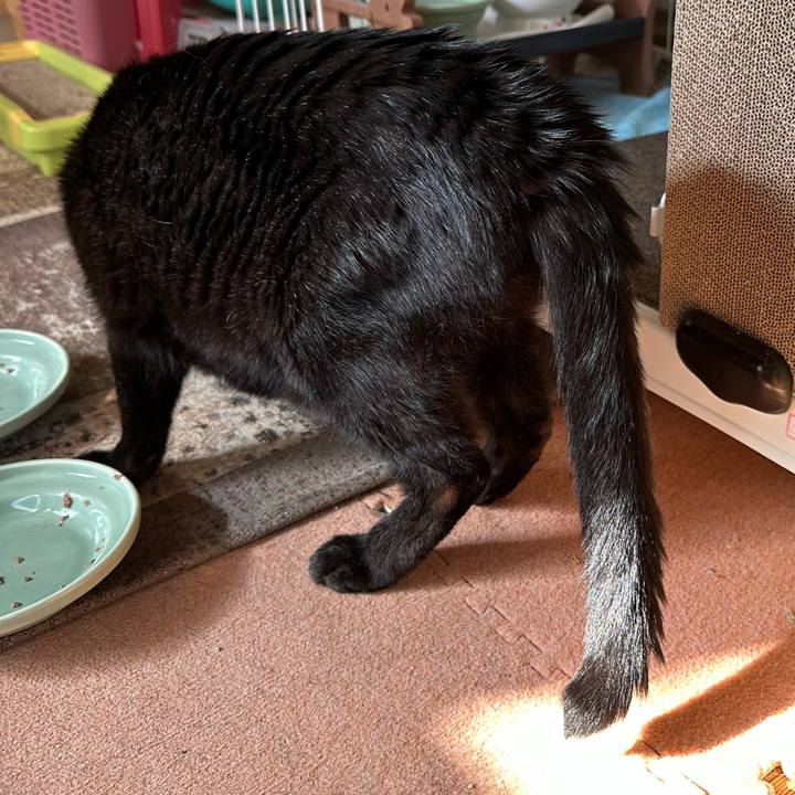 1b0cc2e0 4d49 4088 9a64 955af06338f3 1692575523180