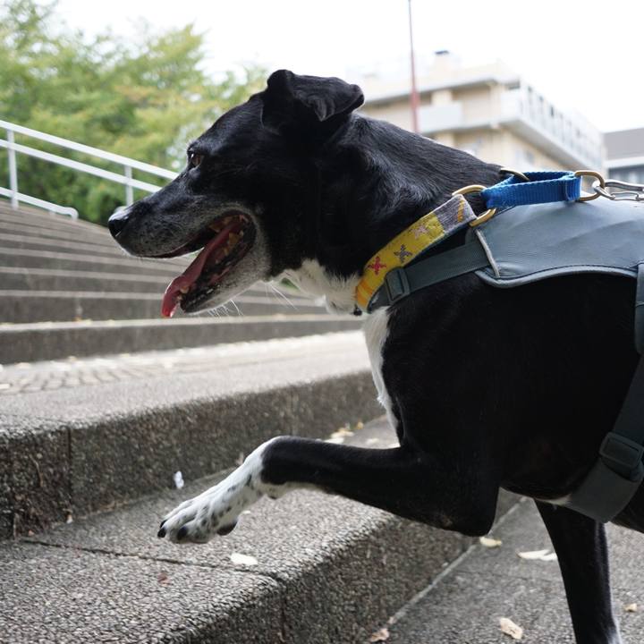 1b0cca33 46ce 4a9c b1ea 90beea9203b7 1759969600858