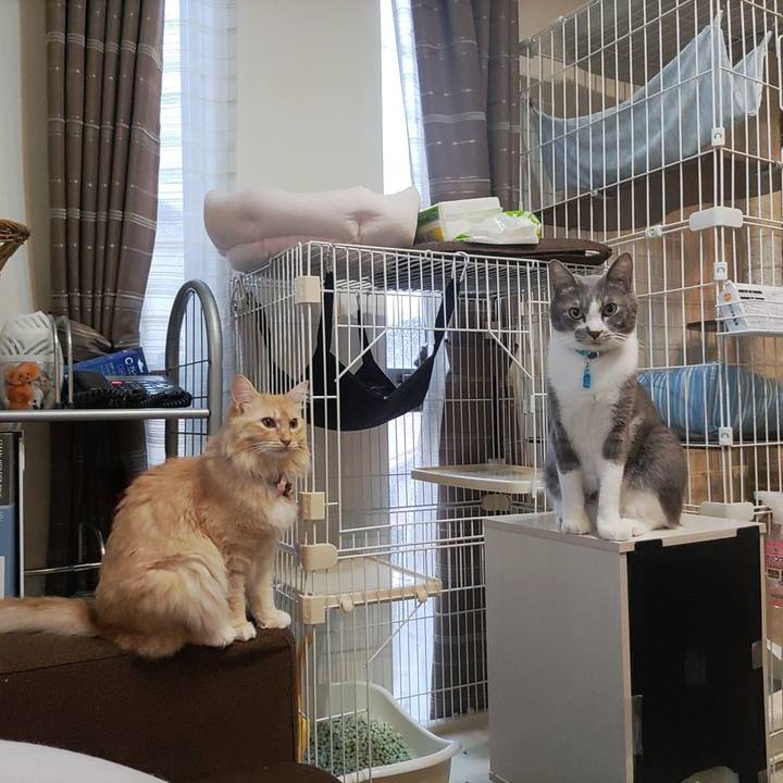 1b0d0cbc 7cb8 41ef 80cb fcc09315baa9 1662542475847